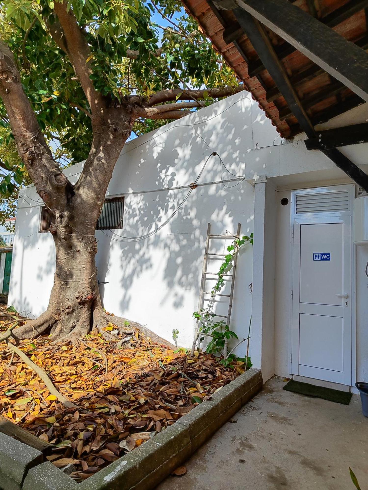 Montijo Garden - Private Rooms Extérieur photo